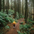 Essential Hiking Safety Tips for Exploring Oregon's Trails
