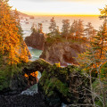 Discovering Oregon's Most Scenic Hiking Trails