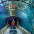 Discover the Best Aquariums to Visit in Oregon
