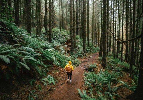Essential Hiking Safety Tips for Exploring Oregon's Trails