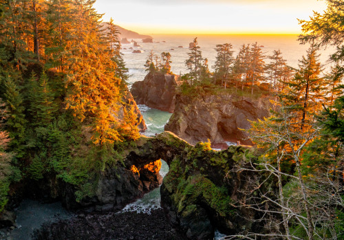 Discovering Oregon's Most Scenic Hiking Trails